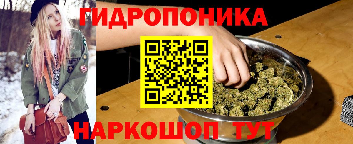 Конопля конопля  Каннабис Bruce Banner  Марихуана VHQ  Губкин  Вход с VPN 